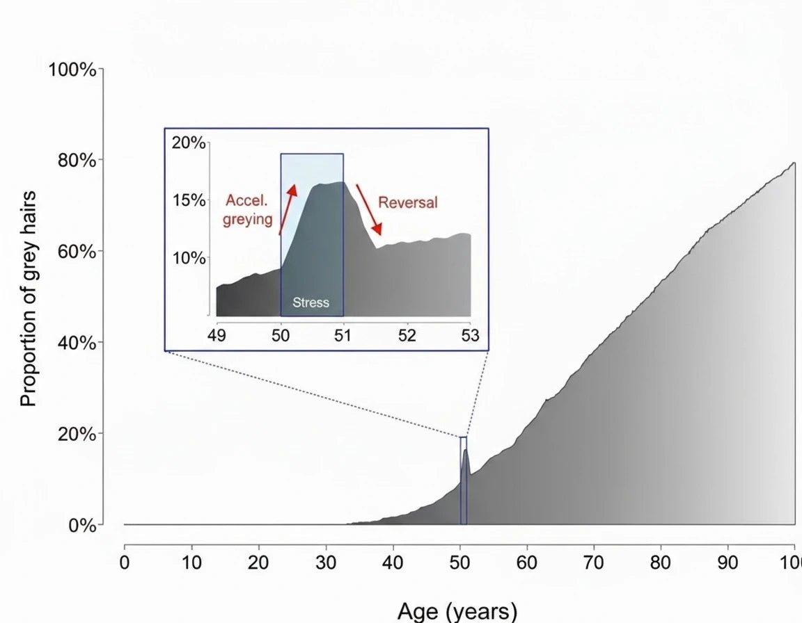Reverted hair [Ref 1].